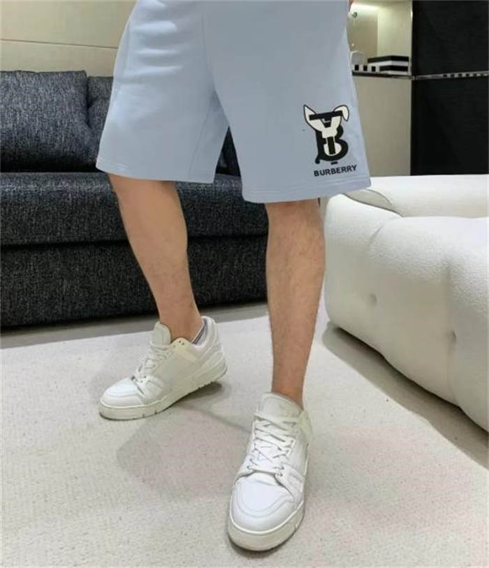 루이비통 LV 트레이너 스니커즈 1A9G4Z photo review